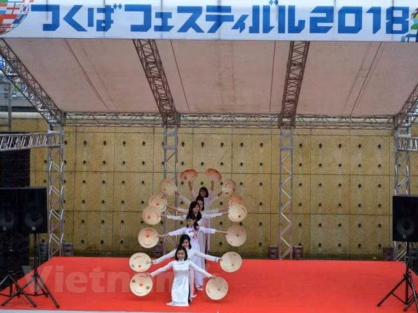Destacan particularidades culturales de Vietnam en festival en Japón ảnh 1