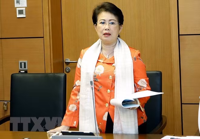 Militante vietnamita sancionada por violaciones en gestión económica ảnh 1