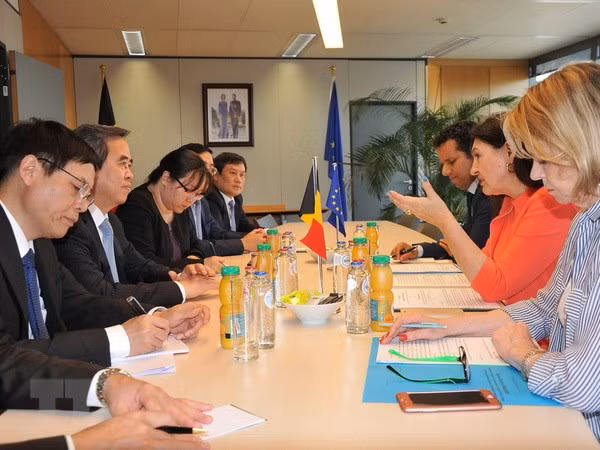 Vietnam prioriza cooperación económica con UE y Bélgica ảnh 1