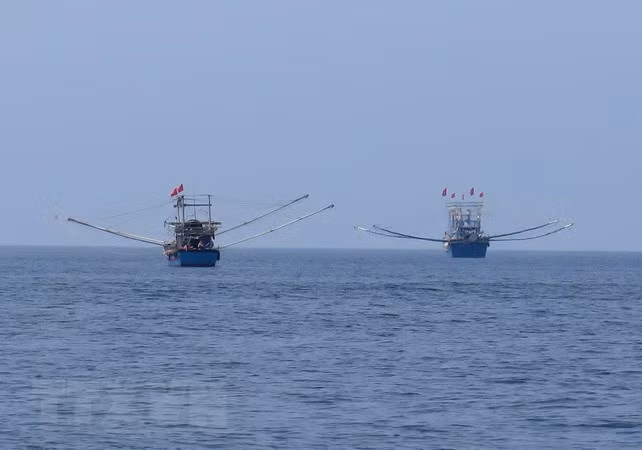 Despliega Vietnam múltiples medidas contra la pesca ilegal ảnh 1