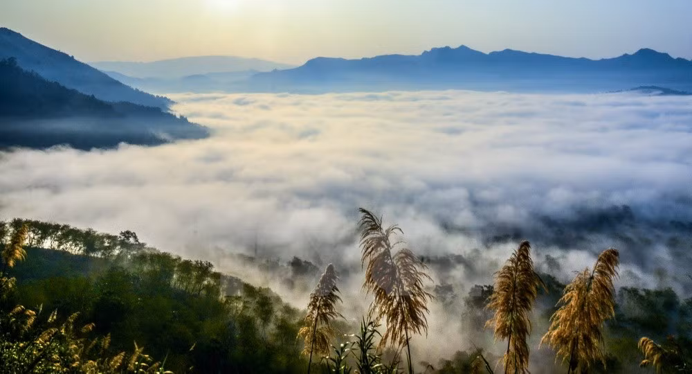Mar de nubes en el paso Tang Quai ảnh 3