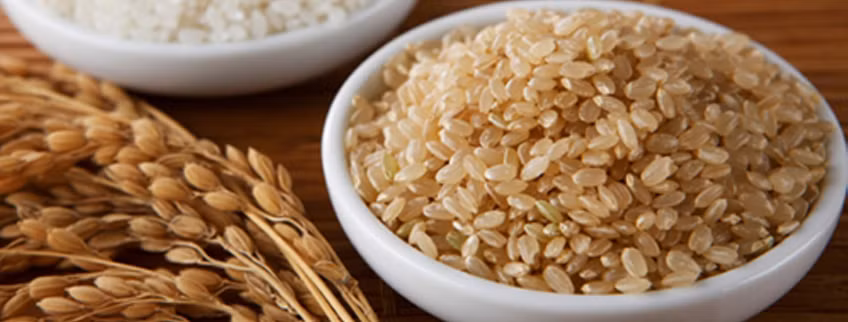Compañía privada vietnamita gana subasta para exportar arroz integral a Corea del Sur ảnh 1