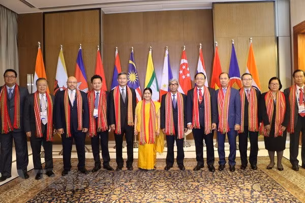 Trasiego comercial India-ASEAN podría llegar a 100 mil millones de dólares ảnh 1