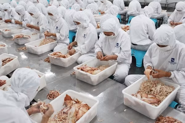 Analizan posible impacto en economía vietnamita de guerra comercial entre China y Estados Unidos ảnh 1