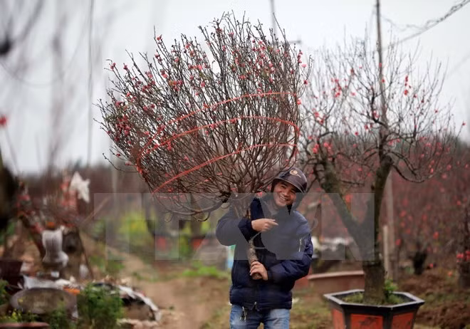 Trabajadores vietnamitas descansarán nueve días en ocasión del Año Nuevo Lunar 2019 ảnh 1 Trabajadores vietnamitas descansarán nueve días en ocasión del Año Nuevo Lunar 2019 ảnh 1