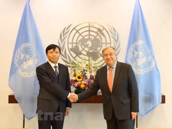 Secretario general de ONU valora cooperación con Vietnam ảnh 1