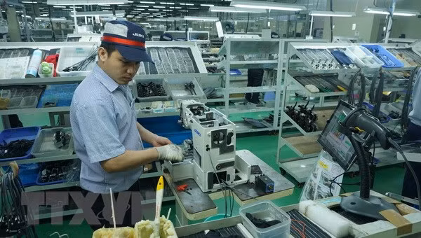 Adelantan futuro alentador para empresas procesadoras y manufactureras de Vietnam ảnh 1