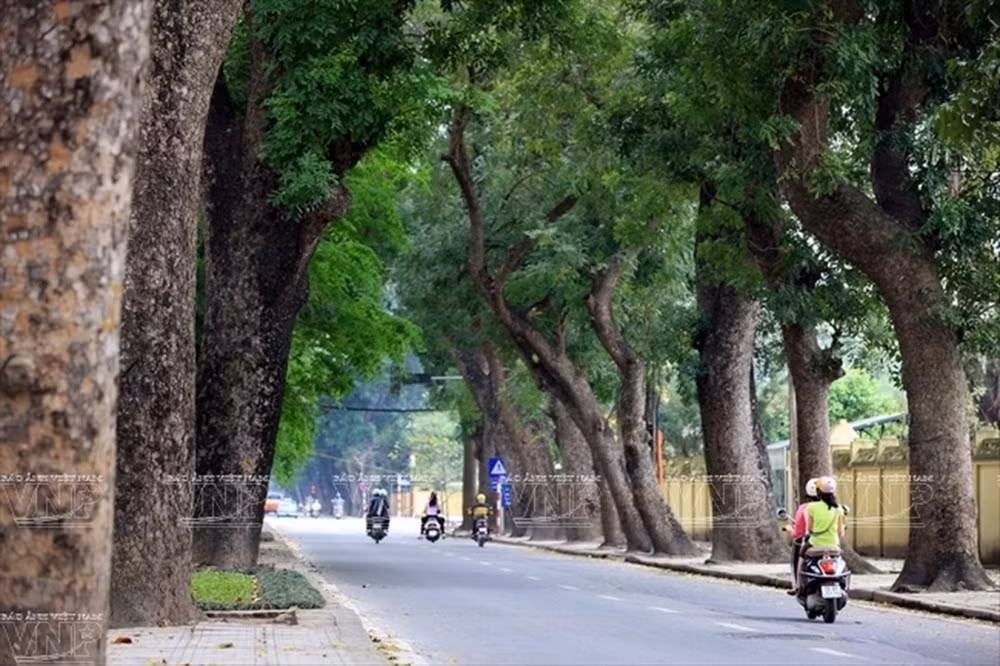 Foro de Hanoi sobre desarrollo sostenible se efectuará en noviembre próximo ảnh 1
