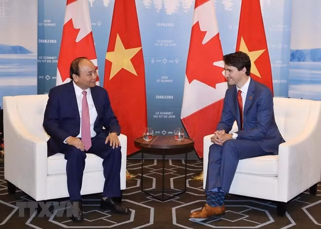 Abierto concurso de diseño de logotipo para destacar lazos Vietnam-Canadá ảnh 1