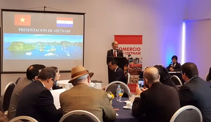 Vietnam y Paraguay fomentan relaciones bilaterales ảnh 2