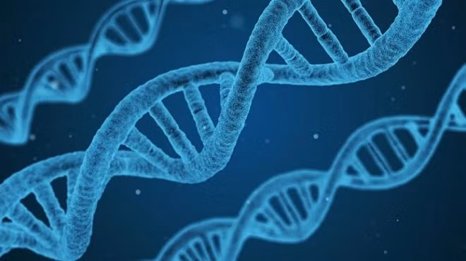 Debaten en Vietnam sobre aplicación de decodificación de genes en tratamiento de cáncer ảnh 1
