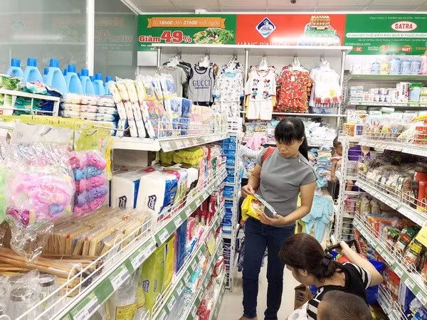 Vietnam impulsa el ingreso de empresas nacionales a mercados extranjeros ảnh 1