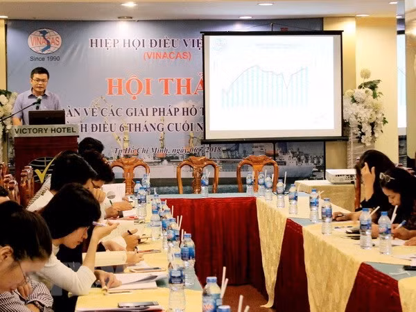 Sector vietnamita de anacardo pide un paquete de crédito de 800 millones de dólares ảnh 1