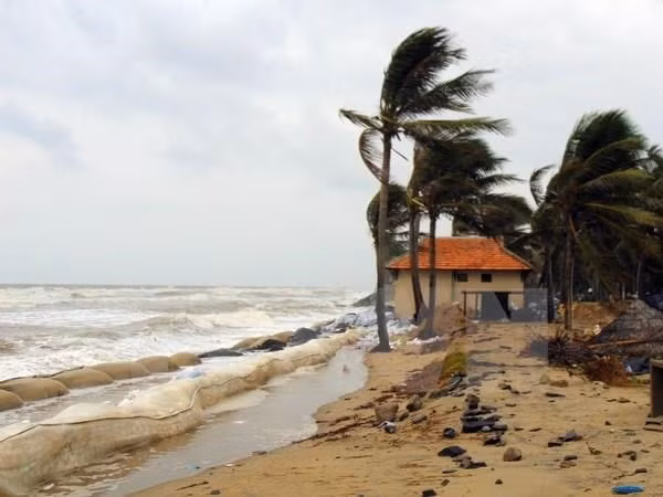 Desastres naturales provocan pérdidas de 43 millones de dólares para Ca Mau ảnh 1