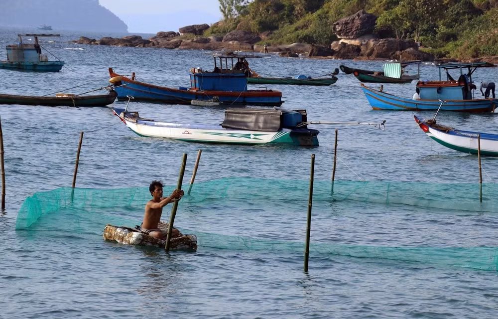 Vietnam promueve la cooperación internacional para el desarrollo de economía marítima ảnh 1