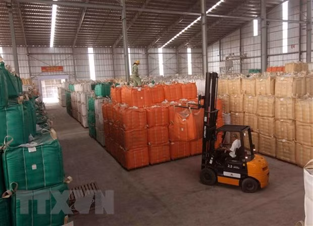 Exportaciones agrícolas de Vietnam apuntan a alcanzar 40 mil millones de dólares ảnh 1