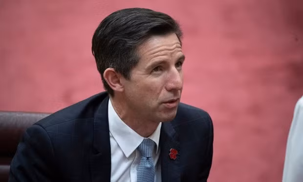 Destaca ministro australiano importancia de RCEP en medio de la incertidumbre del comercio mundial ảnh 1