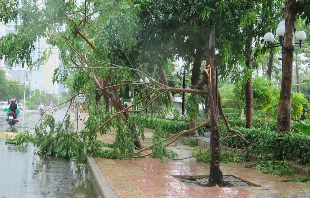 Tifón Etau deja dos muertos en la región central de Vietnam ảnh 1