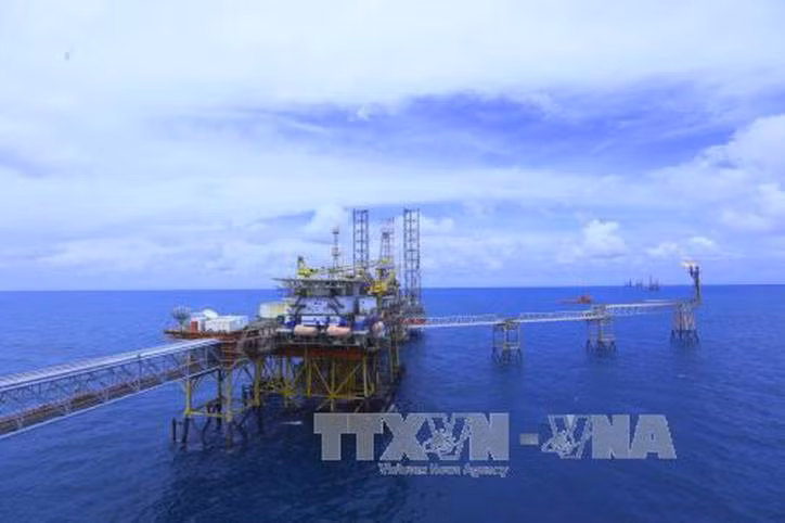 Grupo petrolero PVN entre las tres empresas más grandes de Vietnam ảnh 1