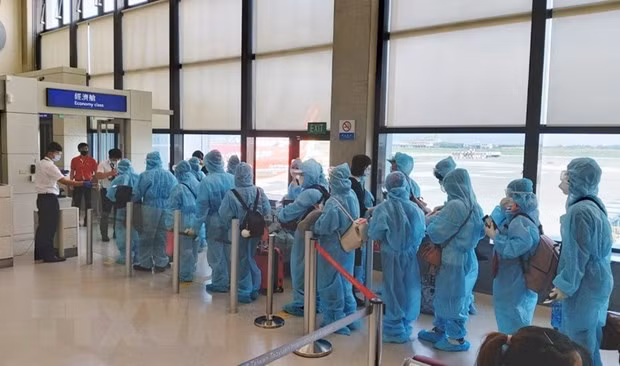 Regresan a tierra natal casi 280 ciudadanos vietnamitas desde Europa ảnh 1