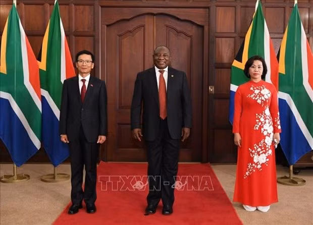 Presenta cartas credenciales embajador de Vietnam en Sudáfrica ảnh 1