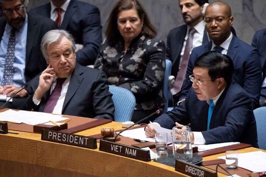 Empeñado Vietnam en ejercer exitosamente la Presidencia del Consejo de Seguridad de ONU ảnh 3