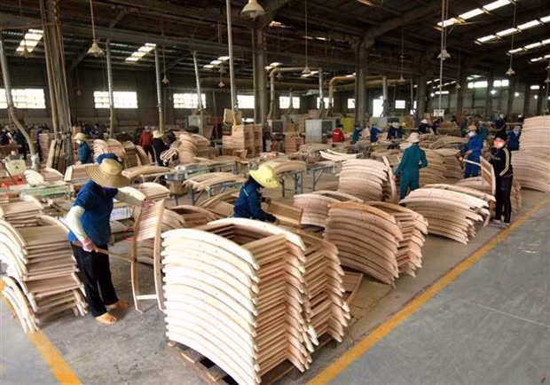 Se empeña sector forestal de Vietnam en llegar a 11 mil millones de dólares por exportaciones ảnh 1