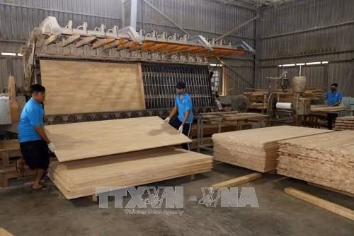 Crece inversión extranjera directa en provincia vietnamita de Binh Duong ảnh 1