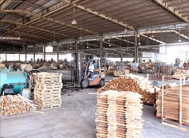Promoverá TLC con UE el desarrollo sostenible de industria maderera de Vietnam ảnh 1