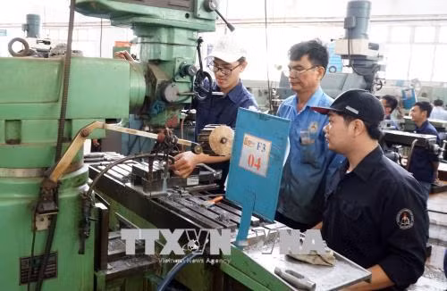 Registra mercado laboral de Vietnam cifras positivas en primera mitad de 2019 ảnh 1