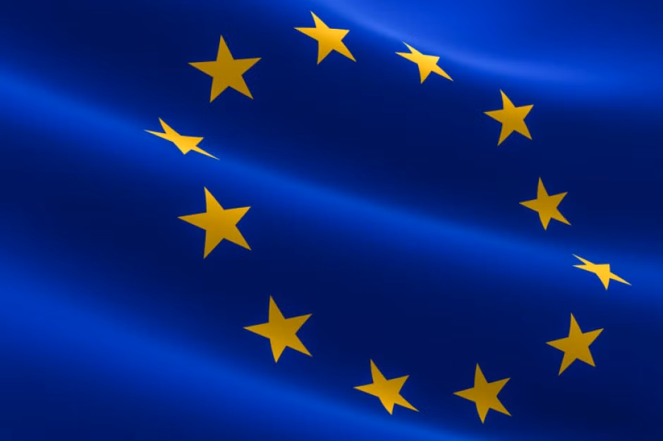 Promueve la UE firma con Vietnam de acuerdo marco de asociación para gestión de crisis ảnh 1
