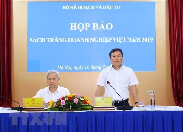 Publican Libro Blanco sobre Empresas de Vietnam 2019 ảnh 1