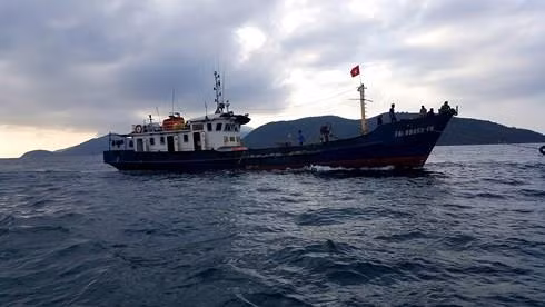 Rescatan a seis pescadores vietnamitas tras naufragio ảnh 1
