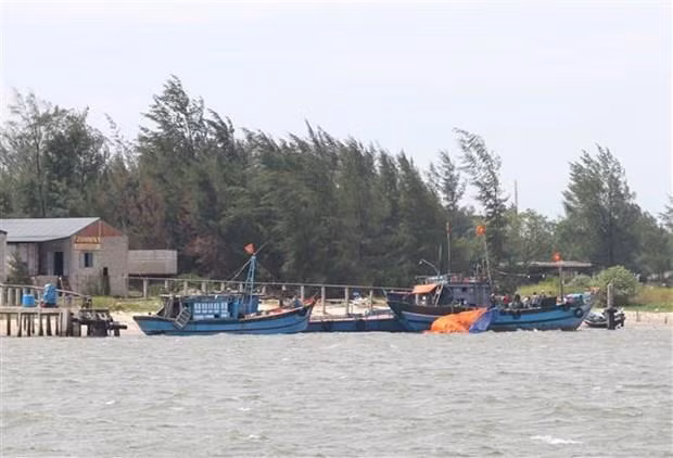 Depresión tropical en Mar del Este podría convertirse en tifón ảnh 1