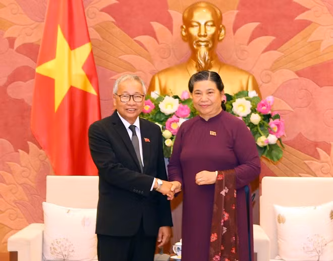 Visitan Vietnam altos funcionarios de Liga Nacional para la Democracia de Myanmar ảnh 1