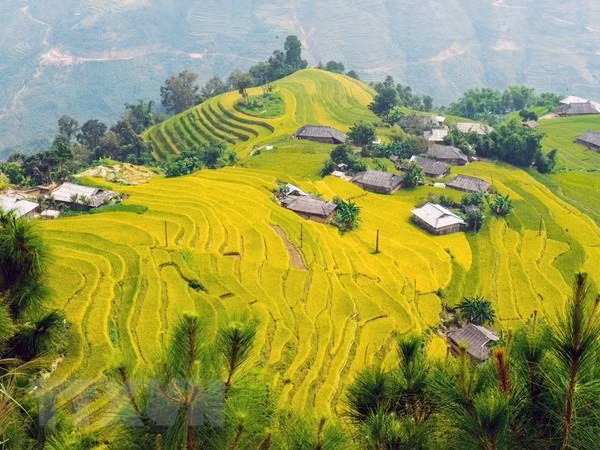Aumenta número de turistas a provincia vietnamita de Lao Cai ảnh 1