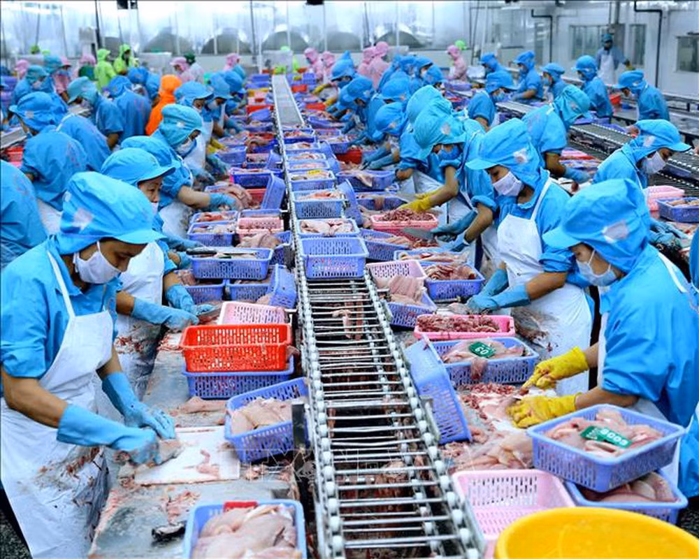 Prevé Vietnam exportaciones acuícolas por cinco mil millones de dólares en segundo semestre de 2019 ảnh 1