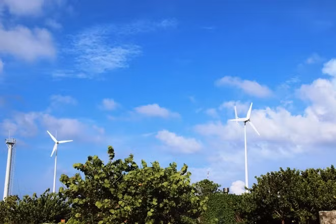 Dispone Vietnam sus recursos en favor de transición energética justa ảnh 2