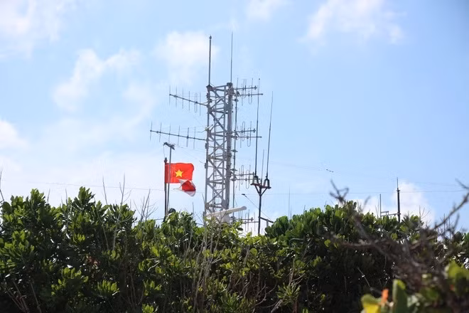 Dispone Vietnam sus recursos en favor de transición energética justa ảnh 3