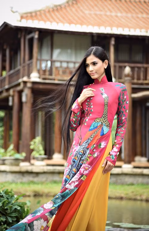 Ao Dai vietnamita será presentado ante presidente Obama ảnh 3
