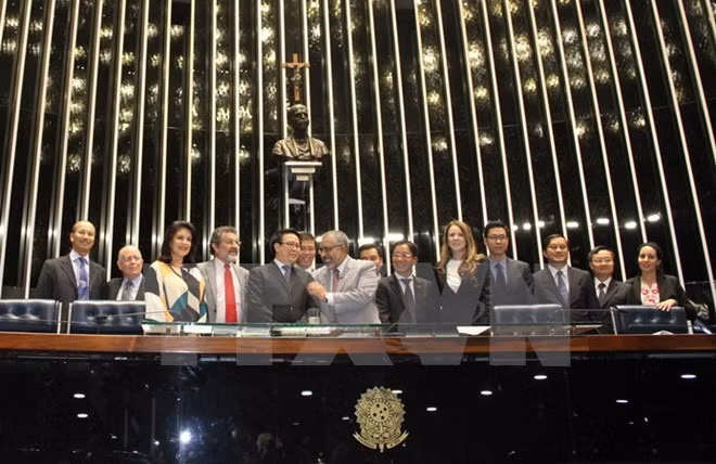 Vietnam y Brasil intensifican relaciones de colaboración ảnh 1