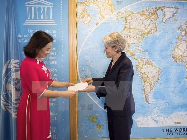 Resaltan vínculos sostenibles entre la UNESCO y Vietnam ảnh 1