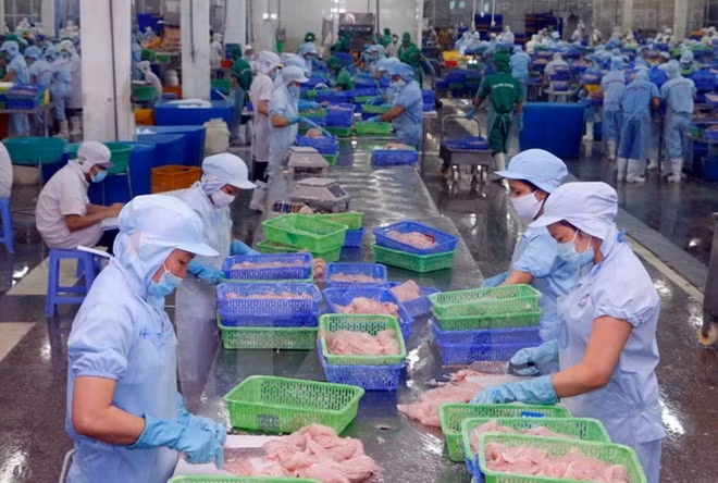 Vietnam traza meta de lograr nueve millones de dólares por exportación acuícola ảnh 1
