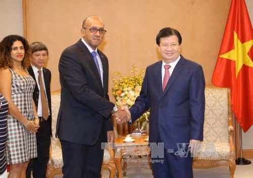 Vicepremier vietnamita aboga por promover eficiencia de mecanismos de cooperación con Cuba ảnh 1
