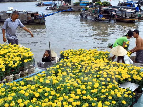 Promueven cooperación entre ciudad vietnamita de Can Tho y Japón ảnh 1