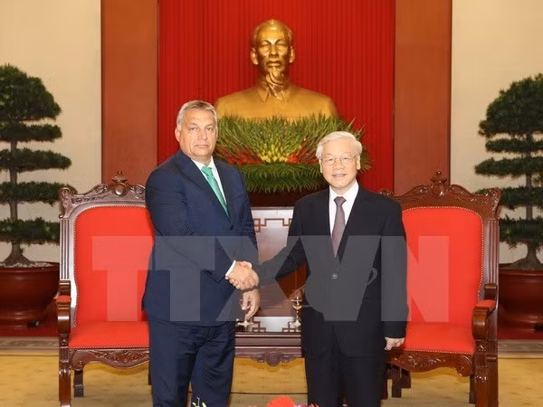 Vietnam atesora amistad con Hungría, afirma secretario general del Partido Comunista ảnh 1