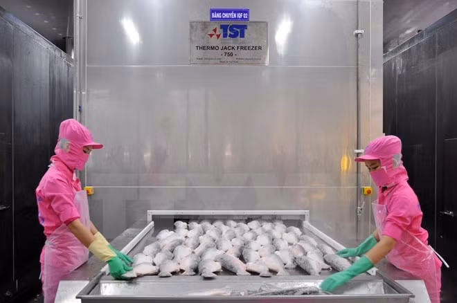 Más de un centenar de empresas participarán en feria de productos acuícolas en Vietnam ảnh 1