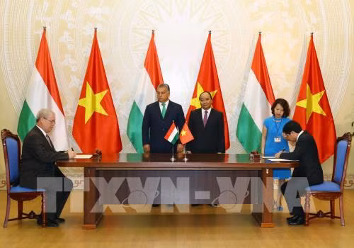 Vietnam y Hungría buscan oportunidades de cooperación en agricultura ảnh 1