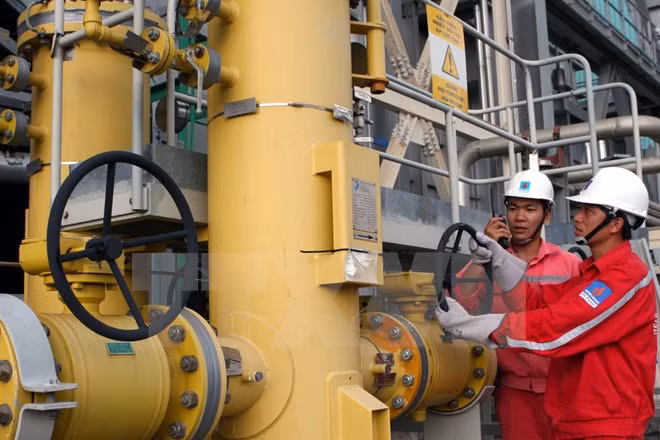 Empresa estadounidense interesada en invertir en proyecto termoeléctrico en Vietnam ảnh 1