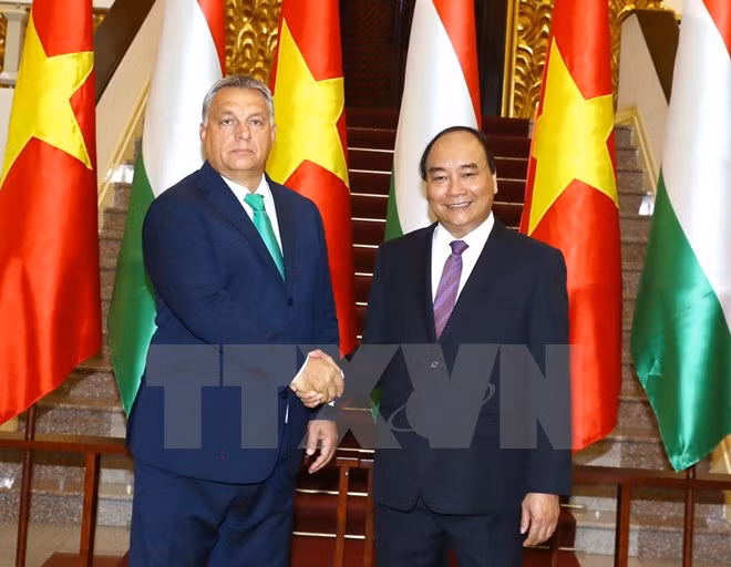 Vietnam y Hungría trazan esquema de cooperación en futuro ảnh 1